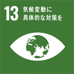 sdg_13.png